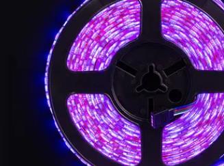 mini led燈珠_microbit led燈