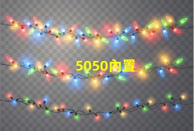 5050內置