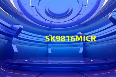 SK9816MICRO-J