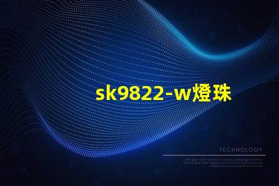 sk9822-w燈珠