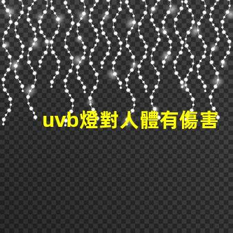 uvb燈對人體有傷害嗎深入解析UVB燈對皮膚健康的影響