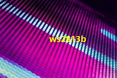 ws2813b