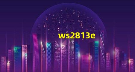 ws2813e