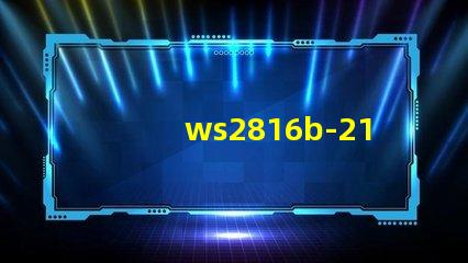 ws2816b-2121