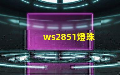 ws2851燈珠