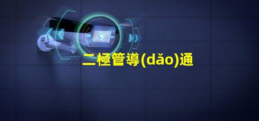 二極管導(dǎo)通電壓深入解析導(dǎo)通電壓對電路性能的影響