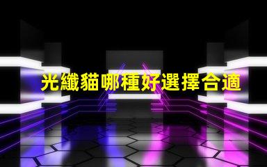 光纖貓哪種好選擇合適光纖貓的終極指南