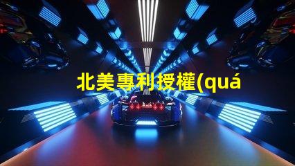 北美專利授權(quán)1010燈珠us8124988b2專利技術(shù)詳解