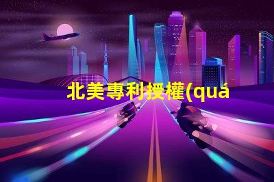 北美專利授權(quán)3030燈珠專利號US8124988B2解析—這款LED燈珠為何備受青睞