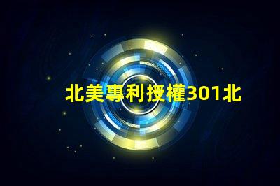 北美專利授權301北美0燈珠專利授權3010燈珠us812498us8124988b2技術8b2專利優勢解析詳解,這種燈珠為何成為市場熱議焦點
