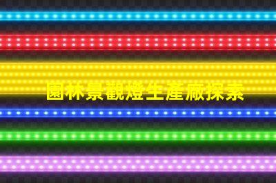 園林景觀燈生產廠探索高效環保的照明解決方案