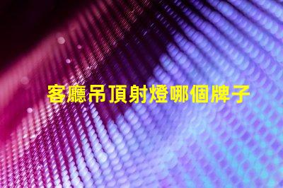 客廳吊頂射燈哪個牌子好市場上最受歡迎射燈品牌解析