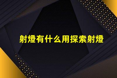 射燈有什么用探索射燈在照明設計中的多重功能