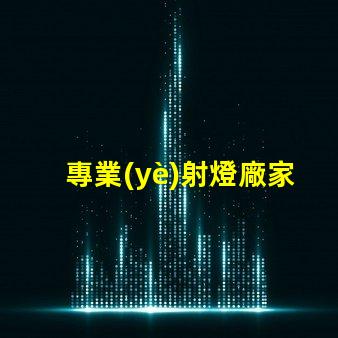 專業(yè)射燈廠家選擇優(yōu)質(zhì)射燈的關(guān)鍵因素是什么