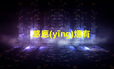 感應(yīng)燈有哪幾種探索不同類型感應(yīng)燈的專業(yè)指南