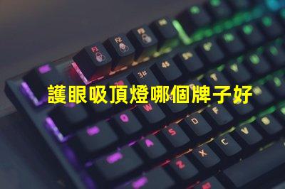 護眼吸頂燈哪個牌子好優質護眼燈具選擇指南