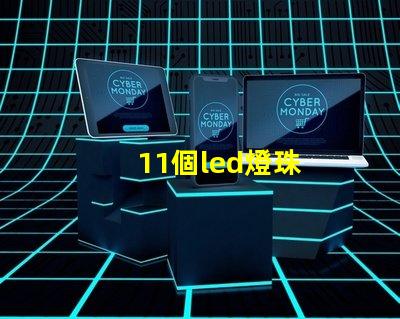 11個led燈珠