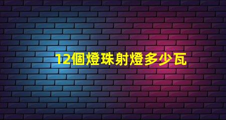 12個燈珠射燈多少瓦