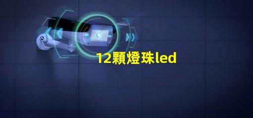 12顆燈珠led