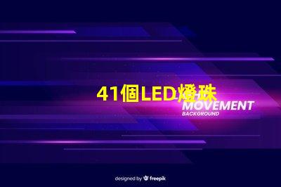 41個LED燈珠