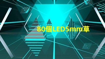80個LED5mm草帽燈珠配多大驅動器？
