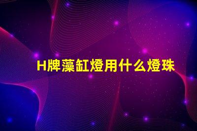 H牌藻缸燈用什么燈珠