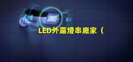 LED外露燈串廠家（高品質(zhì)LED外露燈串供應(yīng)商）