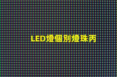 LED燈個別燈珠丙