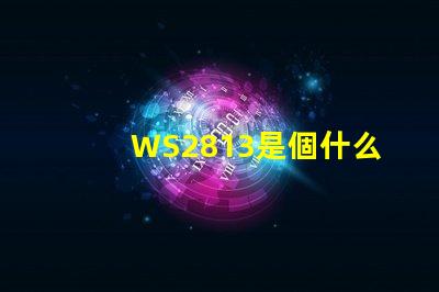 WS2813是個什么玩意？