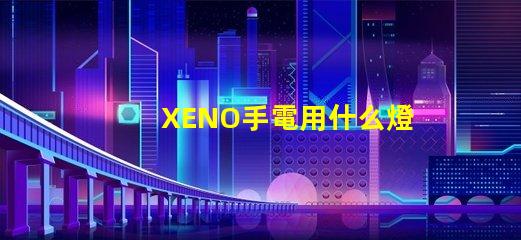 XENO手電用什么燈珠