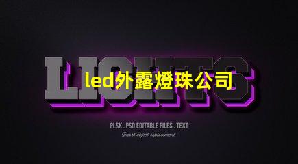 led外露燈珠公司
