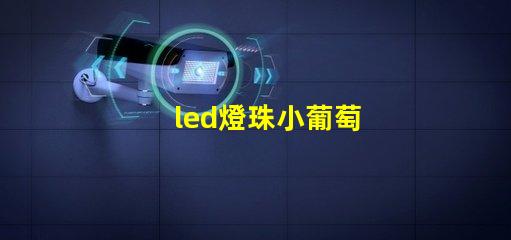 led燈珠小葡萄