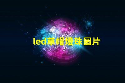 led草帽燈珠圖片