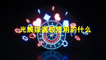 光觸媒滅蚊燈用的什么燈珠