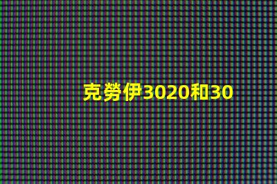 克勞伊3020和3030有什么區別嗎