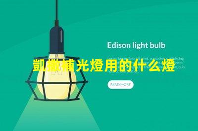 凱撒補光燈用的什么燈珠