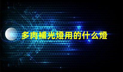 多肉補光燈用的什么燈珠