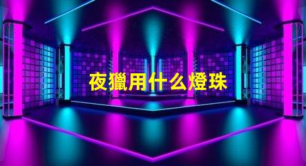 夜獵用什么燈珠