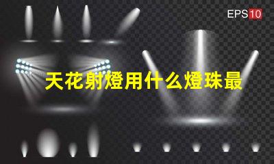 天花射燈用什么燈珠最好