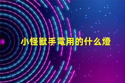 小怪獸手電用的什么燈珠