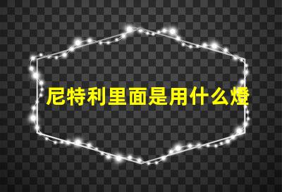 尼特利里面是用什么燈珠