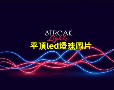 平頂led燈珠圖片