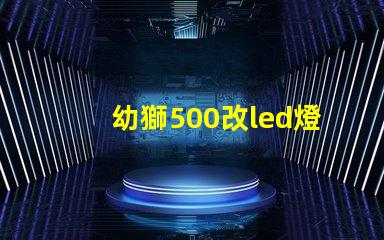幼獅500改led燈珠