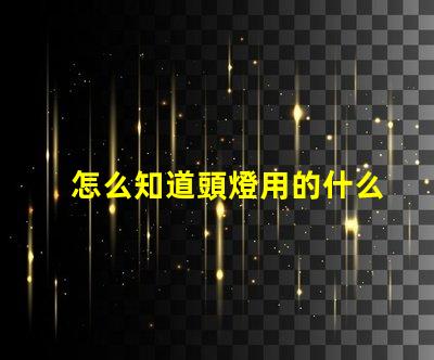 怎么知道頭燈用的什么燈珠