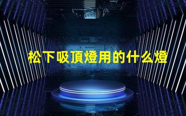 松下吸頂燈用的什么燈珠