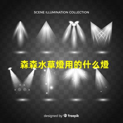 森森水草燈用的什么燈珠