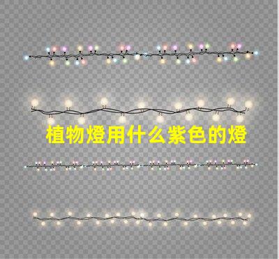 植物燈用什么紫色的燈珠
