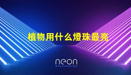 植物用什么燈珠最亮