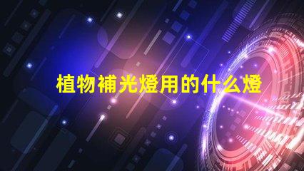 植物補光燈用的什么燈珠