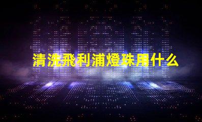 清洗飛利浦燈珠用什么